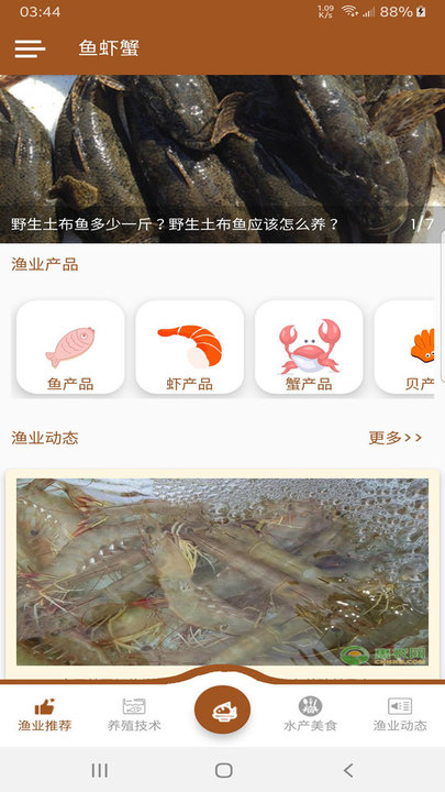 鱼虾蟹图2